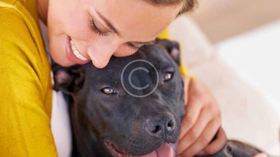 Heartworm: One Bite, One Infection, That’s Enough