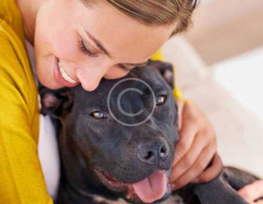 Heartworm: One Bite, One Infection, That’s Enough